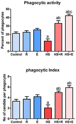 Impact of Dietary or Drinking Water Ruminococcus sp. Supplementation and/or Heat Stress on Growth, Histopathology, and Bursal Gene Expression of Broilers